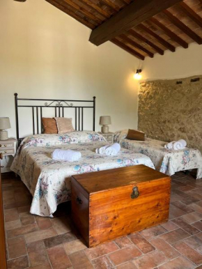 Vecchio Ciliegio Colle Di Val D'elsa